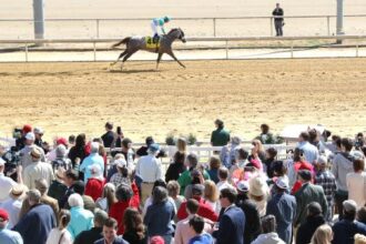 Highcamp wins Virginia Derby in stakes debut