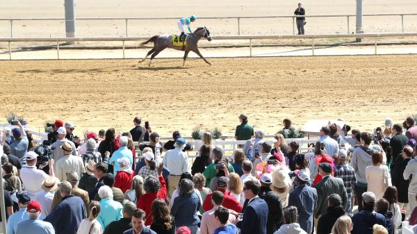 Highcamp wins Virginia Derby in stakes debut
