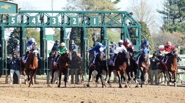 Historical tips and trends to help pick the 2026 Bluegrass Stakes winner