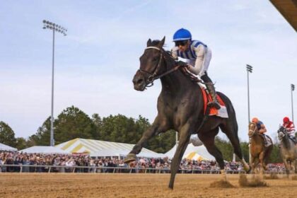 Incredivolt enters the top 10 while Paladin maintains its position