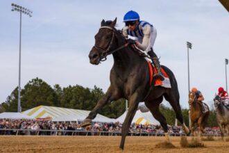 Incredivolt enters top 10, Paladin tops Triple Crown power rankings