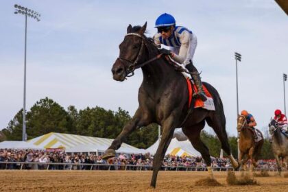 Incredivolt enters top 10, Paladin tops Triple Crown power rankings