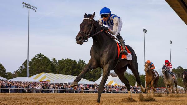 Incredivolt enters top 10, Paladin tops Triple Crown power rankings