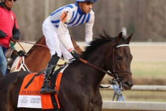 Incredivolt ranks 2nd on the new No. Leaderboard