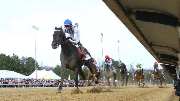 Incredivolt strikes at the Virginia Derby, Rouge Roll bottles appear at the Virginia Oaks