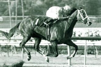 Kentucky Derby Prep Race Featured Fillies