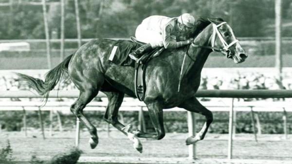 Kentucky Derby Prep Race Featured Fillies