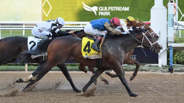 Komanmento defeats Puma in Florida Derby Photo Finish