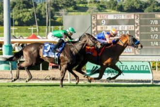 Last boss defeats El Potente, causing upset of Killlow Mile.