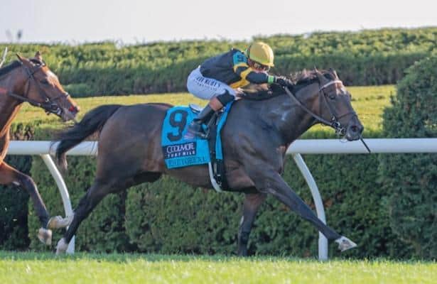 Nine major prize winners take the lead in rhetoric