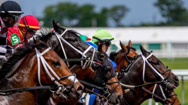 Noel's Weekend Winner: Bet on the Speed ​​of Louisiana Derby Day at the Fairgrounds