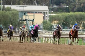 Noel's Weekend Winner: Spotlight on Santa Anita on Big 'Cap Day