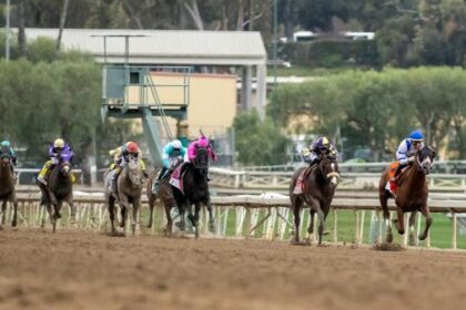 Noel's Weekend Winner: Spotlight on Santa Anita on Big 'Cap Day