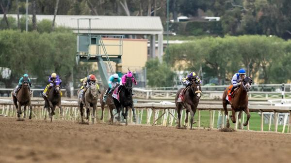Noel's Weekend Winner: Spotlight on Santa Anita on Big 'Cap Day