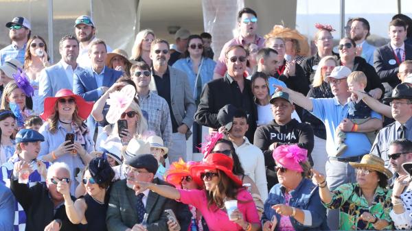 Noel's Weekend Winner: Win Cash at Colonial Downs on Virginia Derby Day