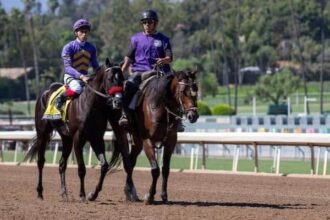 Pay attention to the Maiden of Liberty and the Aqueduct Tree Monument
