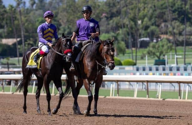 Pay attention to the Maiden of Liberty and the Aqueduct Tree Monument