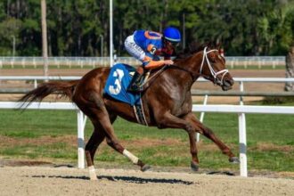 Percy's Barr's Zanny leads Kentucky Oaks preparations