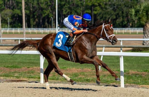 Percy's Barr's Zanny leads Kentucky Oaks preparations