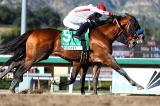 Potente moves up to 17th with San Felipe win