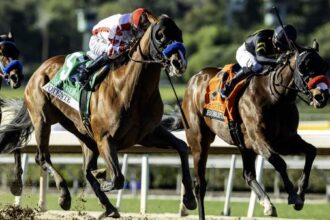 Potente surges with Baffert's San Felipe score, British Isles earn big cap