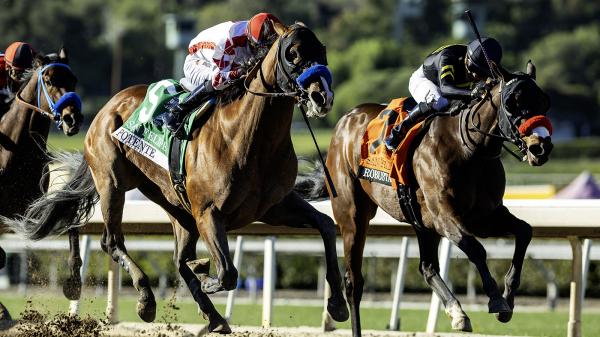Potente surges with Baffert's San Felipe score, British Isles earn big cap