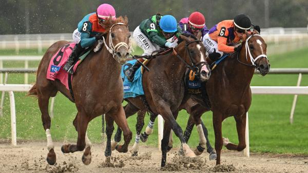 Pumas make a late attack to win the Tampa Bay Derby