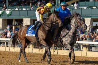 Quiet Side would call it a career and create Nyquist