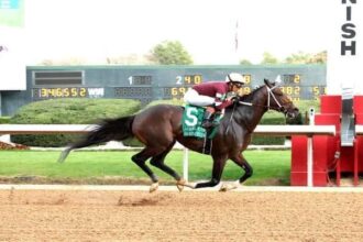 Razorback's Magnitude Cruise targets Dubai World Cup