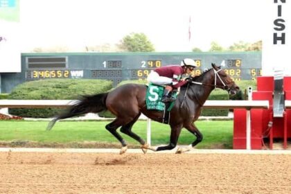 Razorback's Magnitude Cruise targets Dubai World Cup