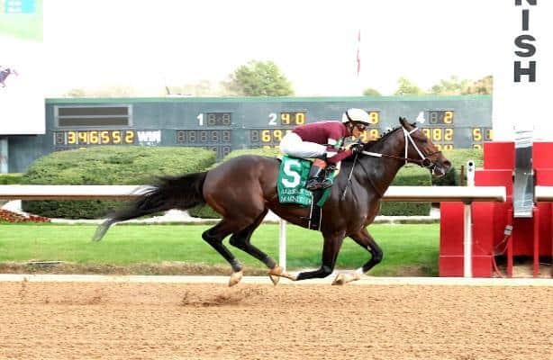 Razorback's Magnitude Cruise targets Dubai World Cup