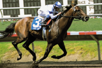 Rising to the top: Julie Krone's magical 2003 season