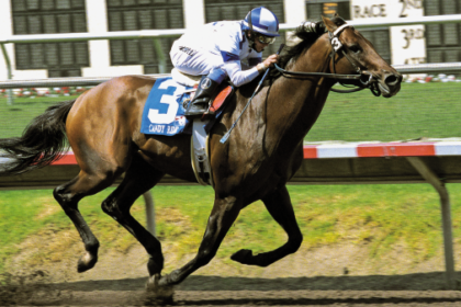 Rising to the top: Julie Krone's magical 2003 season