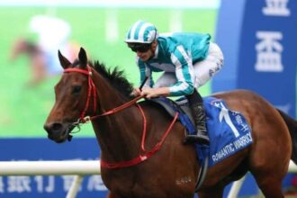 Romantic Warrior to win second consecutive Hong Kong Gold Cup