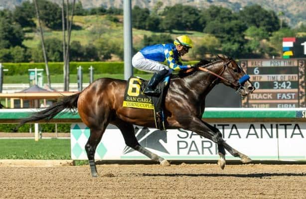 San Carlos, Santa Anita Fertility Cruise