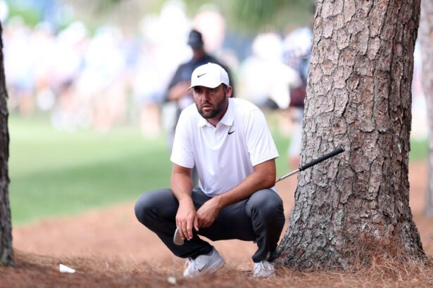 Scottie Scheffler bounces back at Players with a bogey-free 5 under.