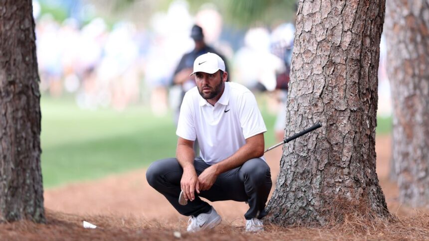 Scottie Scheffler bounces back at Players with a bogey-free 5 under.