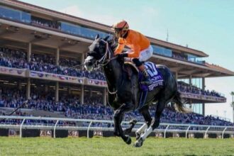 Shiso Spicy fires a bullet, leading 10 major prize winners