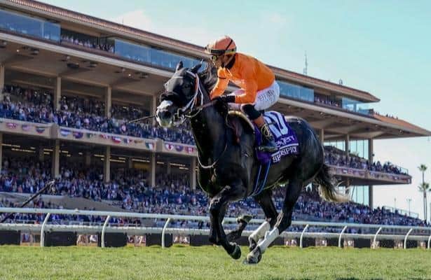 Shiso Spicy fires a bullet, leading 10 major prize winners