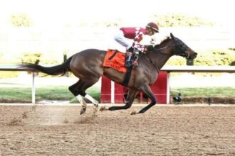 Six challengers will face champion Nitrogen in the Azerbaijan Stakes