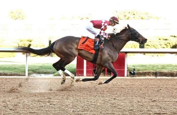 Six challengers will face champion Nitrogen in the Azerbaijan Stakes