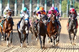 Skippylongstocking remains at the top of Equibase leaderboard as Cox rises to first place among trainers