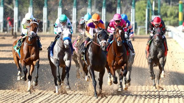 Skippylongstocking remains at the top of Equibase leaderboard as Cox rises to first place among trainers