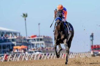 Splendora wins 5th straight Beholder Mile
