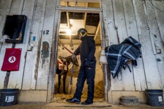 Talented Panamanian rider Yedsit Hazlewood, 17 years old, carries weight