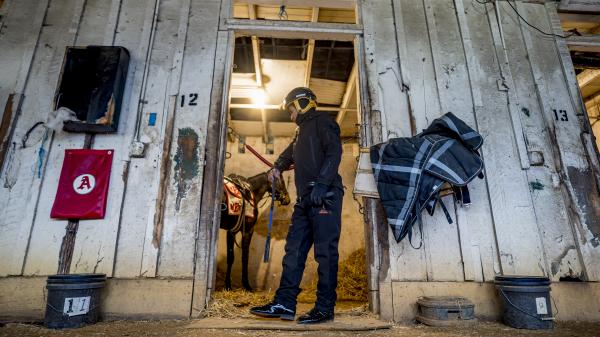 Talented Panamanian rider Yedsit Hazlewood, 17 years old, carries weight