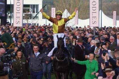 The classy and competitive Cheltenham Festival begins on Tuesday