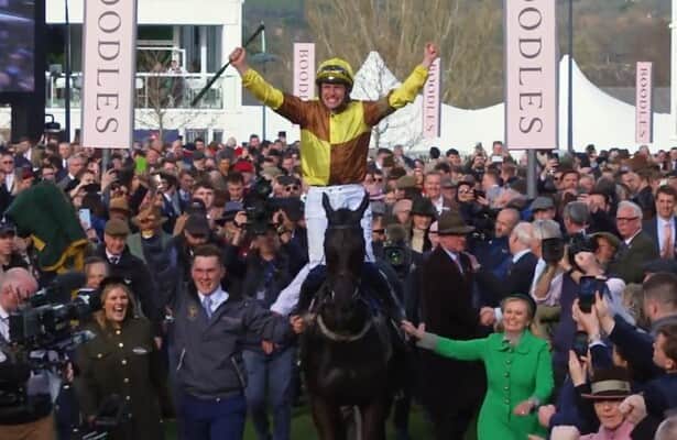 The classy and competitive Cheltenham Festival begins on Tuesday