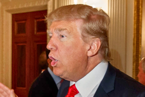 UFC Veteran Explains Why He Regrets Voting for Donald Trump