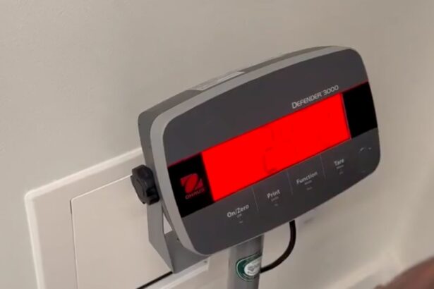 Alex Pereira, UFC White house